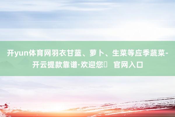 开yun体育网羽衣甘蓝、萝卜、生菜等应季蔬菜-开云提款靠谱·欢迎您✅ 官网入口